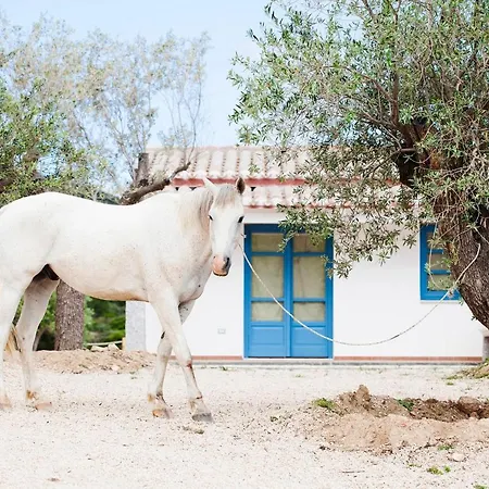 בית הארחה La Di Tenute Filaris